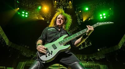 David Ellefson