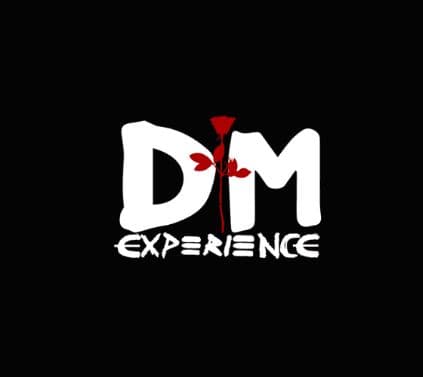 DM Experience