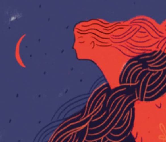 El sueño de los Elefantes