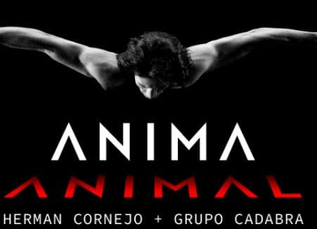 Herman Cornejo