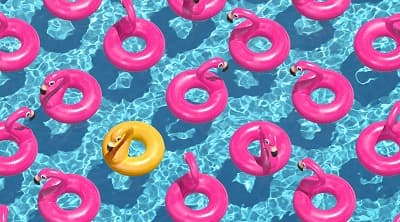 The B2B Pool Party