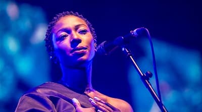 Bonobo