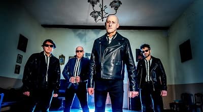 Blondie Club